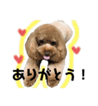 きなあん兄弟（個別スタンプ：3）