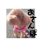 きなあん兄弟（個別スタンプ：5）