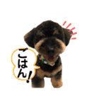 きなあん兄弟（個別スタンプ：6）