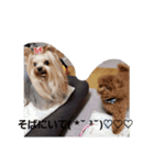 lovelyまろ❣ここ（個別スタンプ：6）