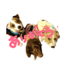 マリちょびアルろく（個別スタンプ：9）