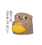 おねだり犬（個別スタンプ：3）