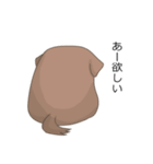 おねだり犬（個別スタンプ：7）
