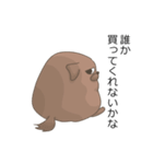 おねだり犬（個別スタンプ：8）