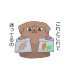 おねだり犬（個別スタンプ：11）