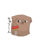 おねだり犬（個別スタンプ：12）