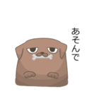 おねだり犬（個別スタンプ：16）