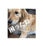 ROKOのスタンプ（個別スタンプ：14）