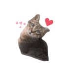 猫ハウス（個別スタンプ：1）