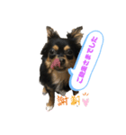 Milly 3（個別スタンプ：5）