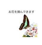 PlantsLover（個別スタンプ：2）