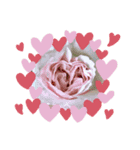 PlantsLover（個別スタンプ：4）