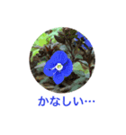 PlantsLover（個別スタンプ：8）