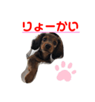 マリーちゃゃゃゃん（個別スタンプ：10）