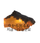 出目金シュール韓国語スタンプ（個別スタンプ：7）
