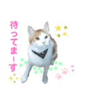 Milk Tea〜ミックくん♡❷（個別スタンプ：2）