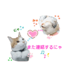 Milk Tea〜ミックくん♡❷（個別スタンプ：8）