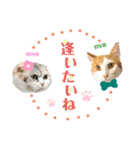 Milk Tea〜ミックくん♡❷（個別スタンプ：11）