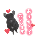 ❤︎なっちゃんのスタンプⅡ❤︎（個別スタンプ：32）