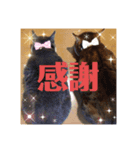 くるみ＆ちゅら（個別スタンプ：7）