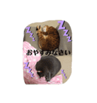 くるみ＆ちゅら（個別スタンプ：8）