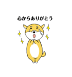 柴犬ボスの気ままな日常（個別スタンプ：5）