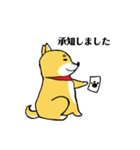 柴犬ボスの気ままな日常（個別スタンプ：7）