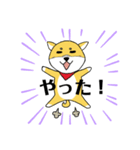 柴犬ボスの気ままな日常（個別スタンプ：8）