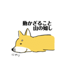 柴犬ボスの気ままな日常（個別スタンプ：16）