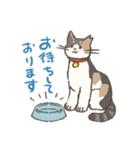 うちの猫みかん（個別スタンプ：1）