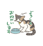 うちの猫みかん（個別スタンプ：2）