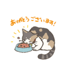 うちの猫みかん（個別スタンプ：3）