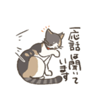 うちの猫みかん（個別スタンプ：4）