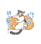 うちの猫みかん（個別スタンプ：5）