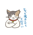 うちの猫みかん（個別スタンプ：6）