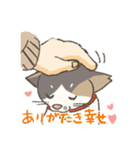 うちの猫みかん（個別スタンプ：7）