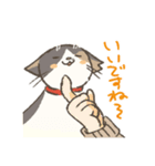 うちの猫みかん（個別スタンプ：10）