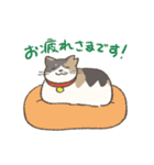 うちの猫みかん（個別スタンプ：11）