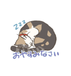 うちの猫みかん（個別スタンプ：12）