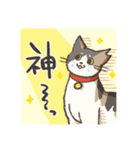 うちの猫みかん（個別スタンプ：13）