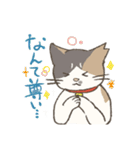 うちの猫みかん（個別スタンプ：14）