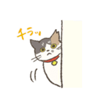 うちの猫みかん（個別スタンプ：17）