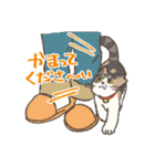 うちの猫みかん（個別スタンプ：18）