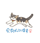 うちの猫みかん（個別スタンプ：19）