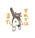 うちの猫みかん（個別スタンプ：20）