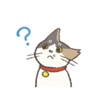 うちの猫みかん（個別スタンプ：21）