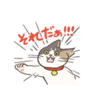 うちの猫みかん（個別スタンプ：22）