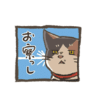 うちの猫みかん（個別スタンプ：23）