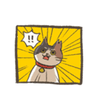 うちの猫みかん（個別スタンプ：24）