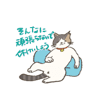 うちの猫みかん（個別スタンプ：26）